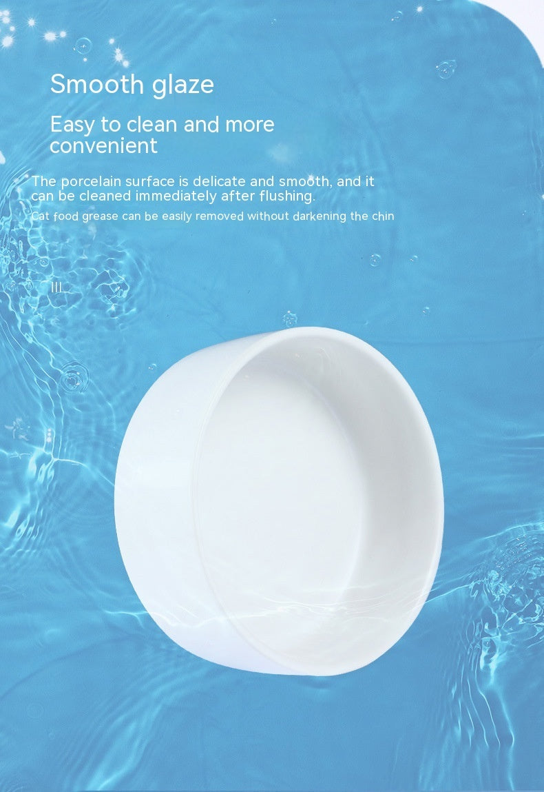 Pet Ceramic Bowl In Stock Simple Style