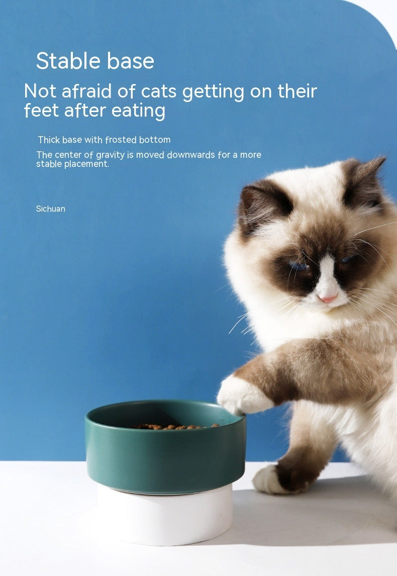 Pet Ceramic Bowl In Stock Simple Style